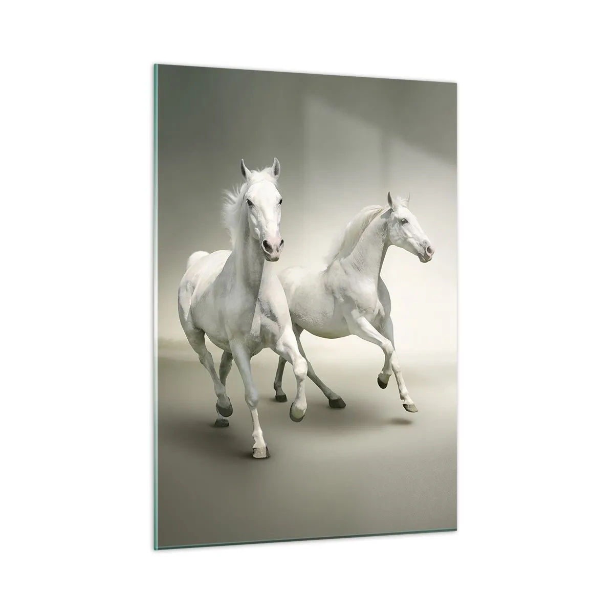 Cuadro sobre vidrio - Impresiones sobre Vidrio - Dos caballos blancos corriendo sobre un fondo claro. - 50x70cm - ¡Poder blanco! - Decoración de pared moderna para salón y dormitorio ARTTOR