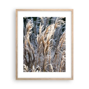 Póster en marco roble claro - Campos y campos - 40x50 cm