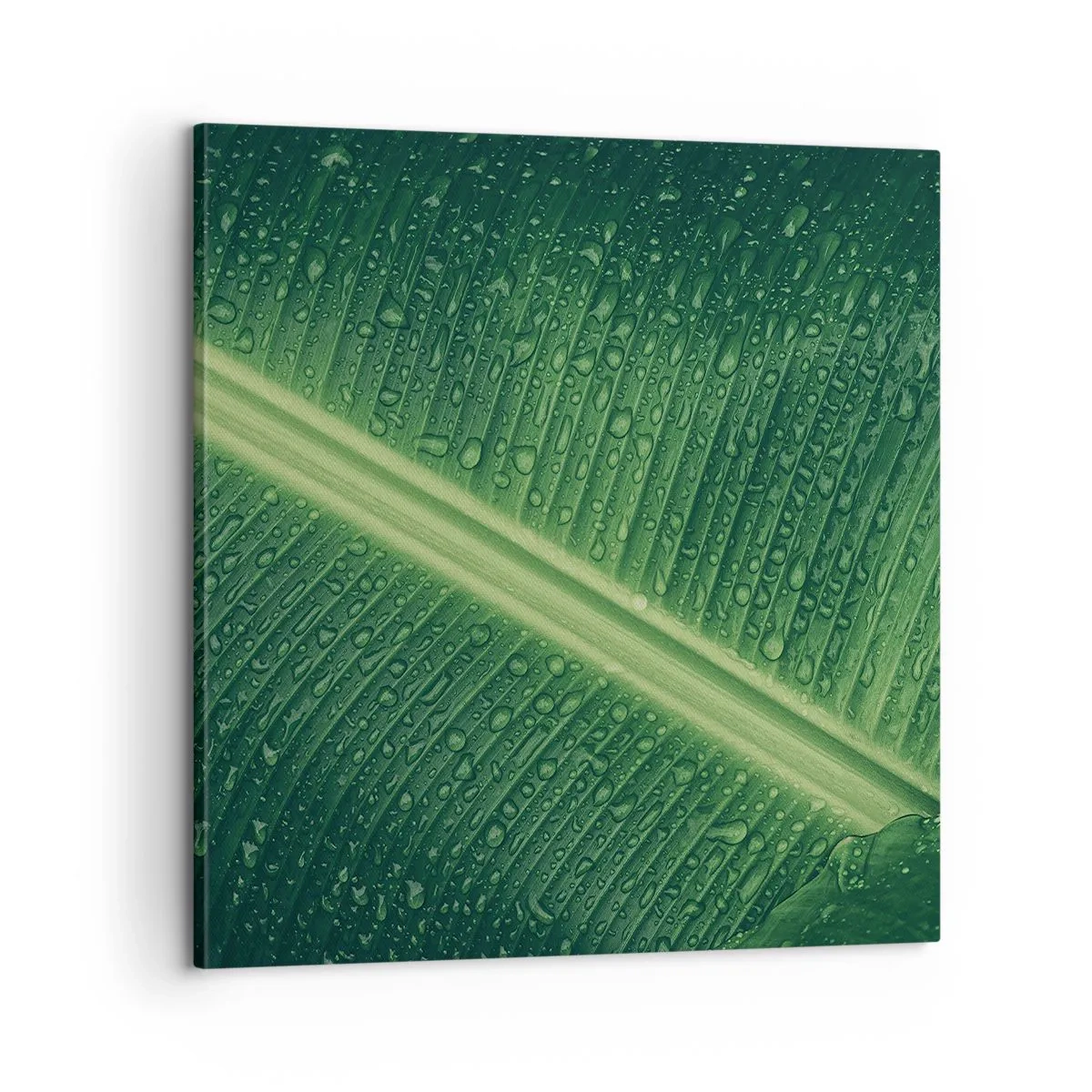 Cuadro sobre lienzo - Impresión de Imagen - Estructura del verde - 60x60 cm