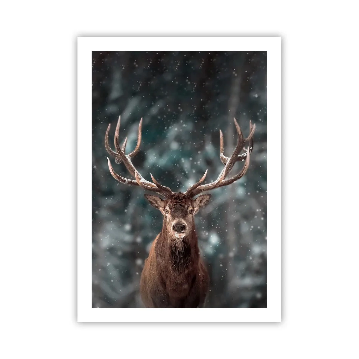Póster - Retrato de un ciervo con impresionantes astas con el telón de fondo de un bosque invernal. - 50x70cm - Coronado rey del bosque - Decoración de pared moderna para salón y dormitorio ARTTOR
