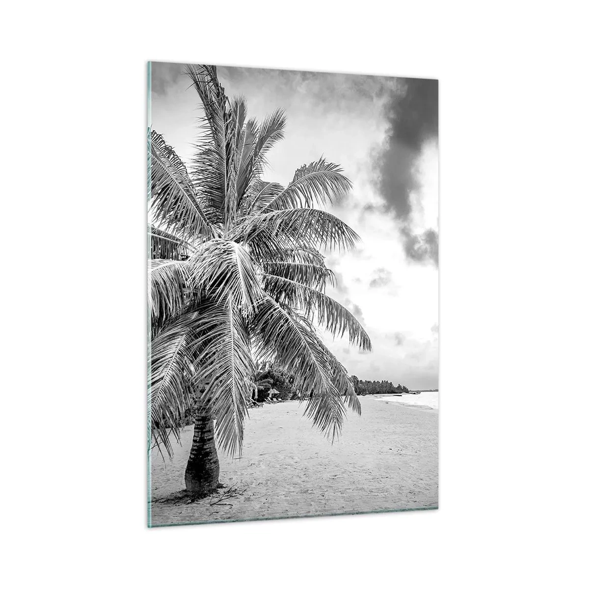 Cuadro sobre vidrio - Impresiones sobre Vidrio - Una palmera blanca y negra en una playa vacía con un cielo nublado. - 50x70cm - Anhelo de soledad.... - Decoración de pared moderna para salón y dormitorio ARTTOR
