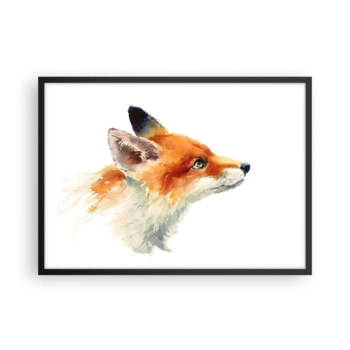 Póster en marco negro - Zorro rojo en estilo acuarela sobre fondo blanco. - 70x50cm - Nunca se es demasiado cuidadoso - Decoración de pared moderna para salón y dormitorio ARTTOR