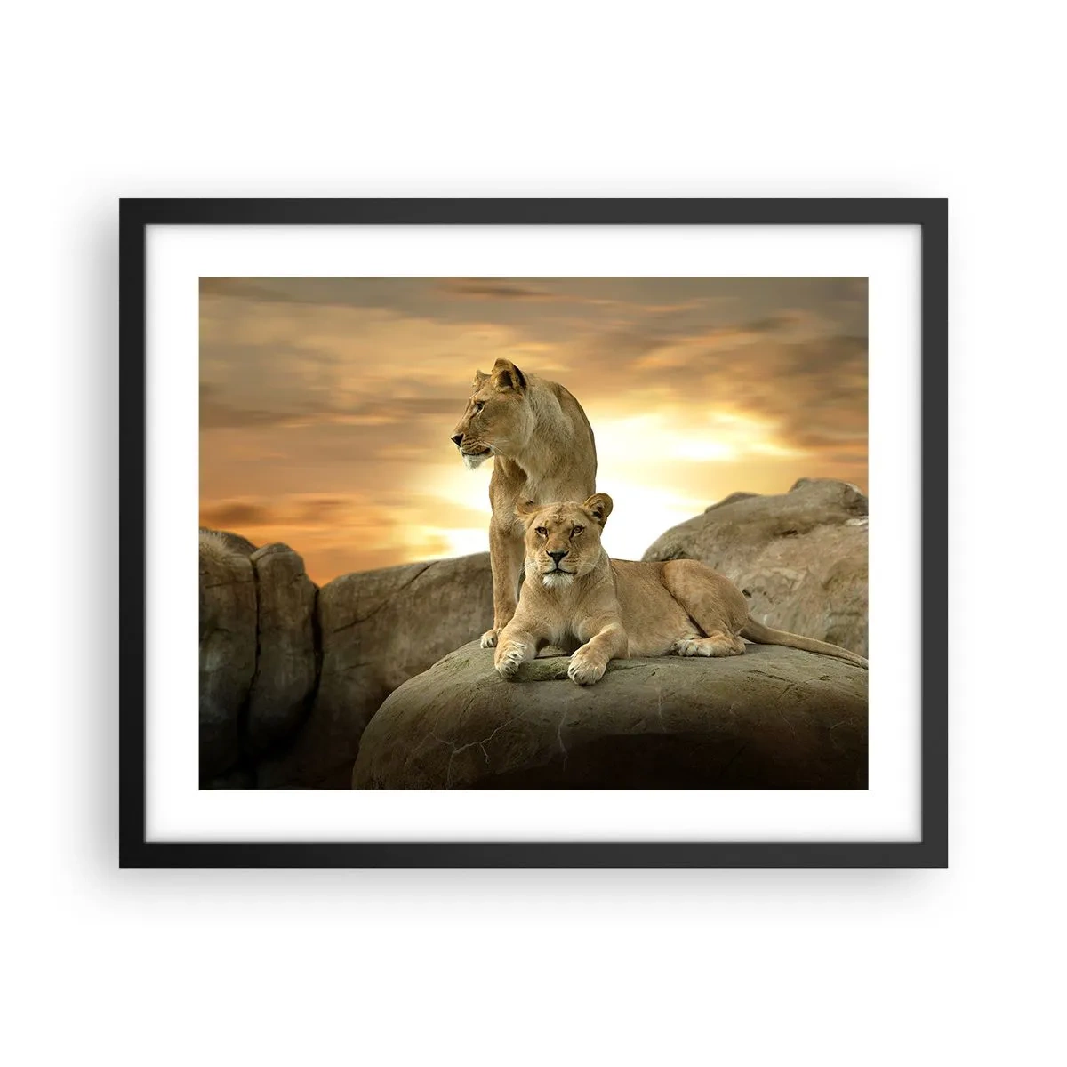 Póster en marco negro - Majestuosidad real - 50x40 cm