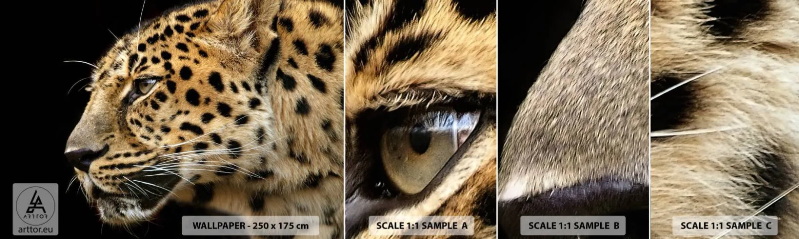 Muestra De Fotomural Standard Eco - Tranquilo, concentrado, preparado - animales, leopardo, África - 100x30 cm