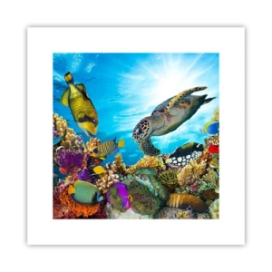 Póster - Paseo del coral - 30x30 cm