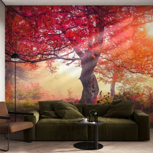 Fotomural Autadhesivo Deluxe Sticker - Un frenesí de floración - Paisaje, Parque, flores - 350x256 cm