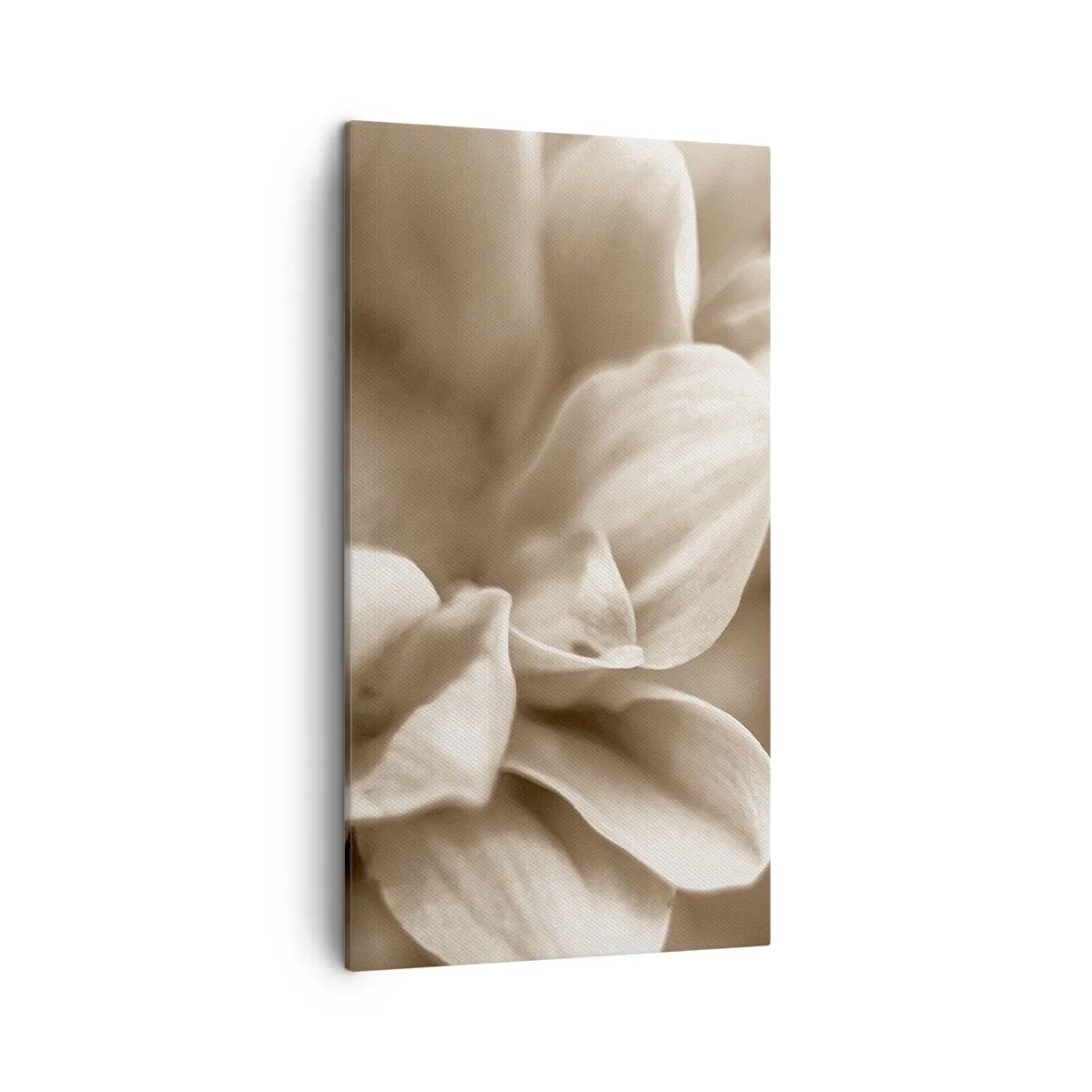 Cuadro sobre lienzo - Impresión de Imagen - Suave como una sonrisa - 45x80 cm