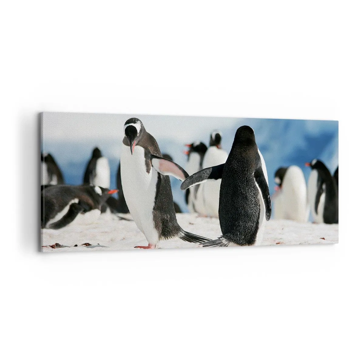 Cuadro sobre lienzo - Impresión de Imagen - Un grupo de pingüinos en la nieve en un paisaje antártico. - 120x50cm - Bailando en la nieve - Decoración de pared moderna para salón y dormitorio ARTTOR