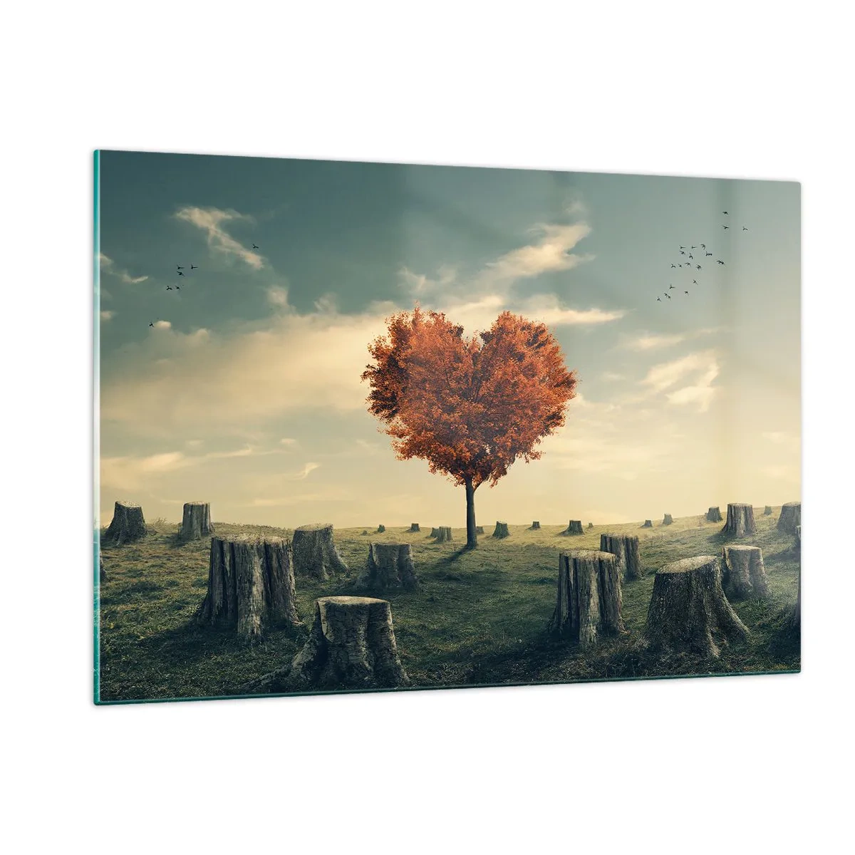 Cuadro sobre vidrio - Impresiones sobre Vidrio - Un árbol en forma de corazón rodeado de troncos talados en un claro. - 120x80cm - Todavía hay esperanza - Decoración de pared moderna para salón y dormitorio ARTTOR