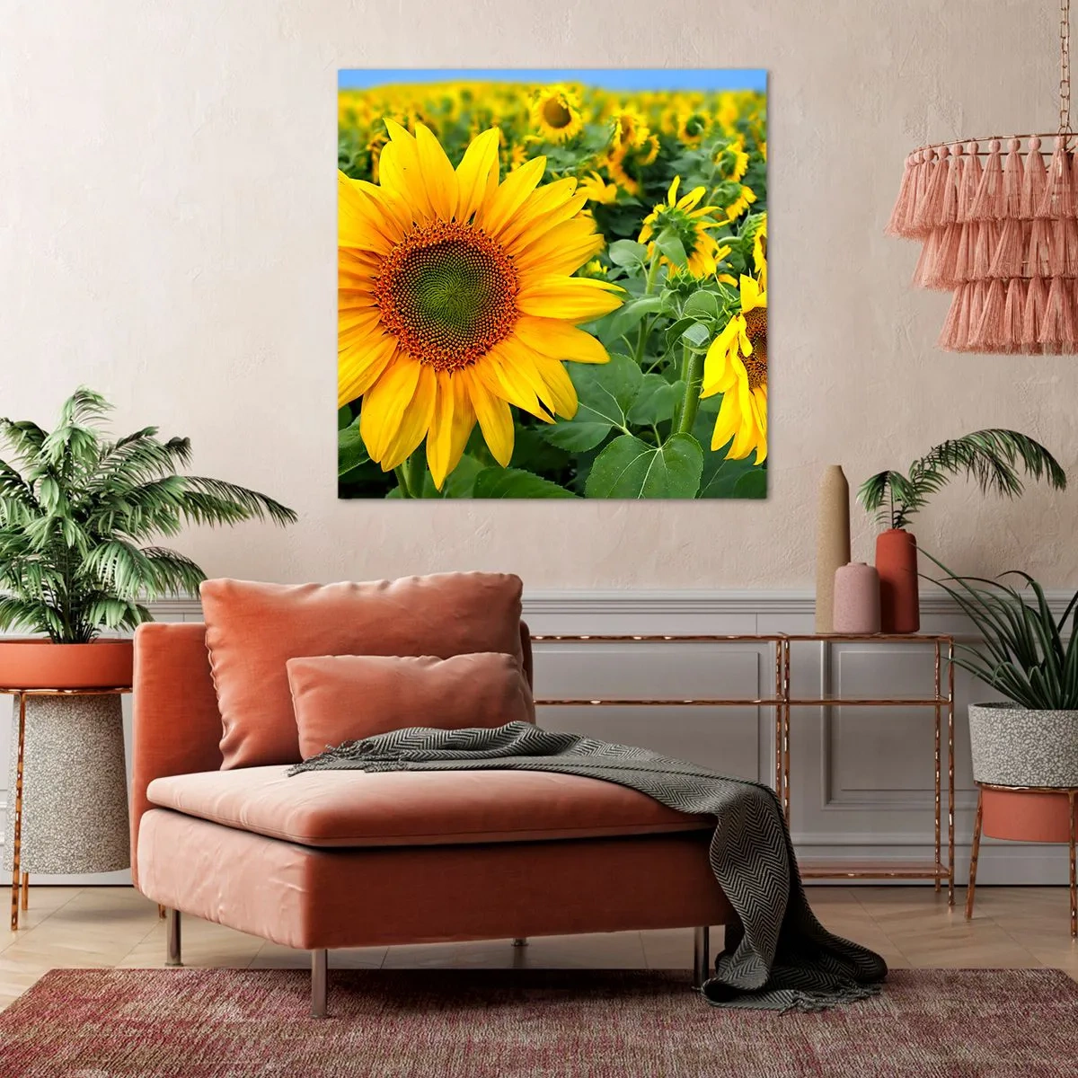 Cuadro sobre lienzo - Impresión de Imagen - Cientos de soles estallan - 40x40 cm