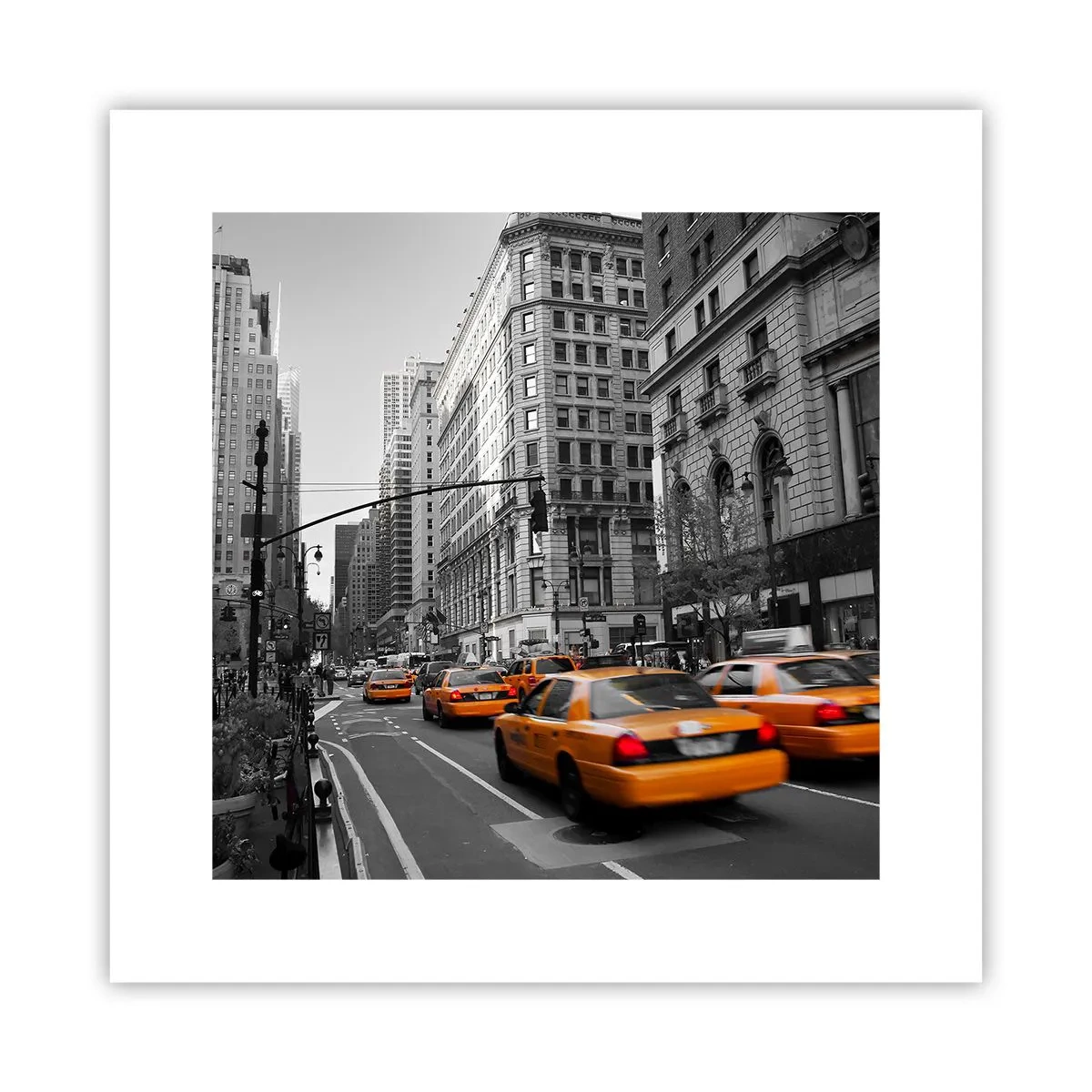 Póster - Los soles de la gran ciudad - 30x30 cm