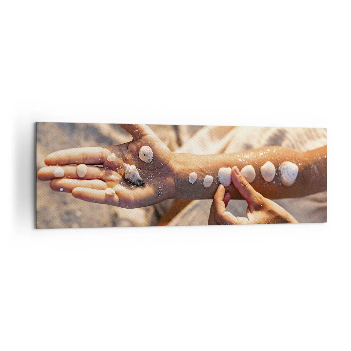 Cuadro sobre lienzo - Impresión de Imagen - Manos con conchas marinas dispuestas sobre el fondo de arena. - 160x50cm - La belleza al alcance de la mano - Decoración de pared moderna para salón y dormitorio ARTTOR