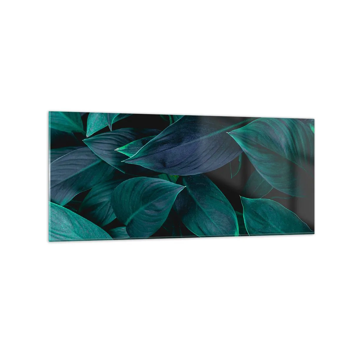 Cuadro sobre vidrio - Impresiones sobre Vidrio - Primer plano de hojas verdes con un fondo oscuro - 120x50cm - El propio verde - Decoración de pared moderna para salón y dormitorio ARTTOR