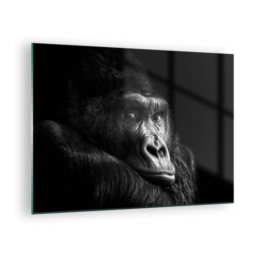 Cuadro sobre vidrio - Impresiones sobre Vidrio - Retrato en blanco y negro de un gorila a la sombra de una ventana. - 70x50cm - ¿Y qué estás mirando? - Decoración de pared moderna para salón y dormitorio ARTTOR