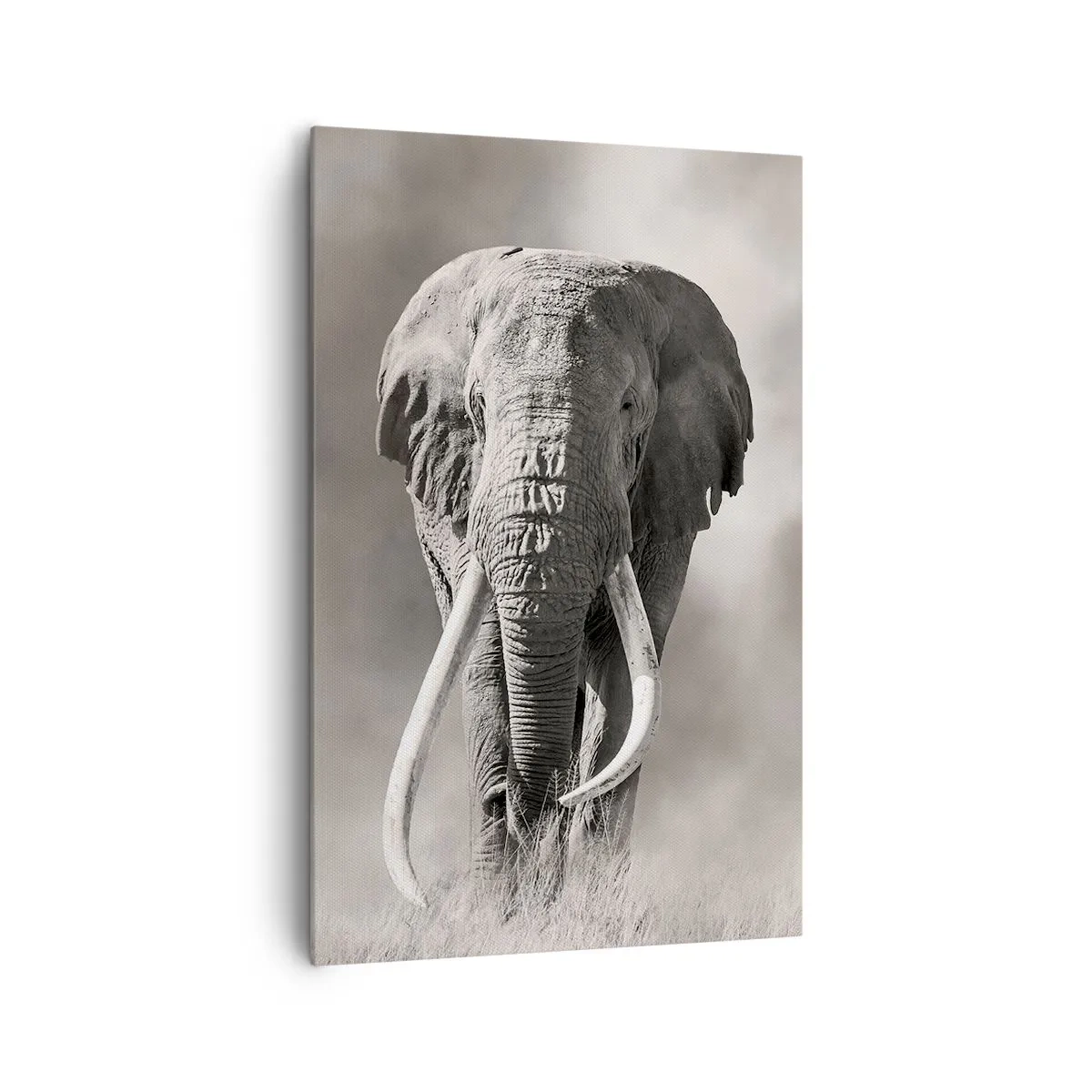 Cuadro sobre lienzo - Impresión de Imagen - Patriarca africano - 80x120 cm