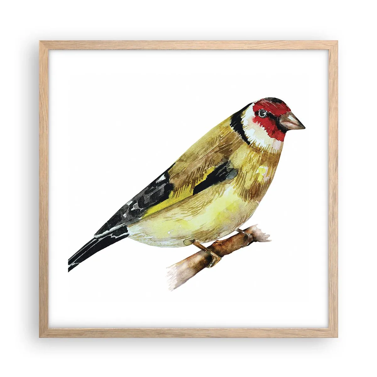 Póster en marco roble claro - Retrato de pájaro - 50x50 cm