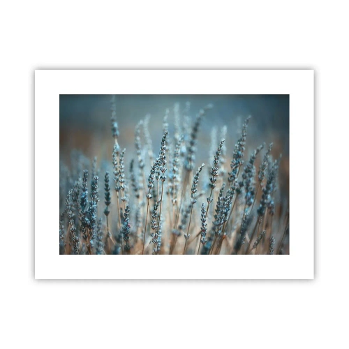 Póster - Fragante pasto - 40x30 cm