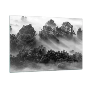 Cuadro sobre vidrio - Impresiones sobre Vidrio - Bosque brumoso a la luz del sol en blanco y negro - 120x80cm - Levantarse del sueño - Decoración de pared moderna para salón y dormitorio ARTTOR