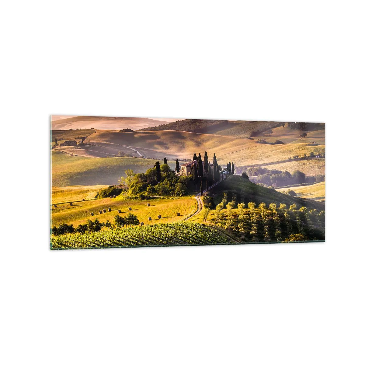 Cuadro sobre vidrio - Impresiones sobre Vidrio - Paisaje toscano con viñedos y una casa en una colina. - 120x50cm - Paisaje toscano - Decoración de pared moderna para salón y dormitorio ARTTOR