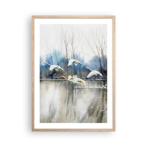 Póster en marco roble claro - Como en un cuento de cisnes salvajes - 50x70 cm