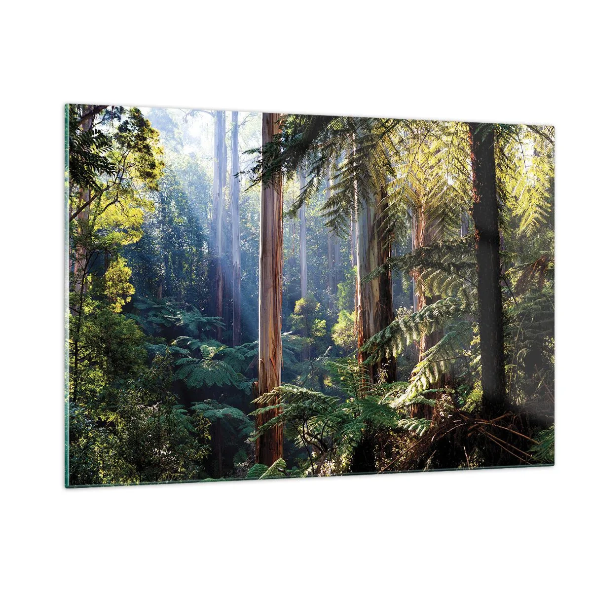 Cuadro sobre vidrio - Impresiones sobre Vidrio - Bosque tropical verde con rayos de sol - 120x80cm - Un cuento de hadas del bosque - Decoración de pared moderna para salón y dormitorio ARTTOR