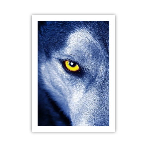 Póster - Un primer plano del ojo amarillo de un lobo en un tono azul. - 50x70cm - La mirada hipnótica - Decoración de pared moderna para salón y dormitorio ARTTOR