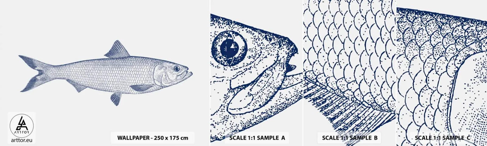 Muestra de fotomural autoadhesivo Deluxe Sticker - Saludos desde los mares del norte - Pez, Animal marino, Estilo costero - 100x30 cm