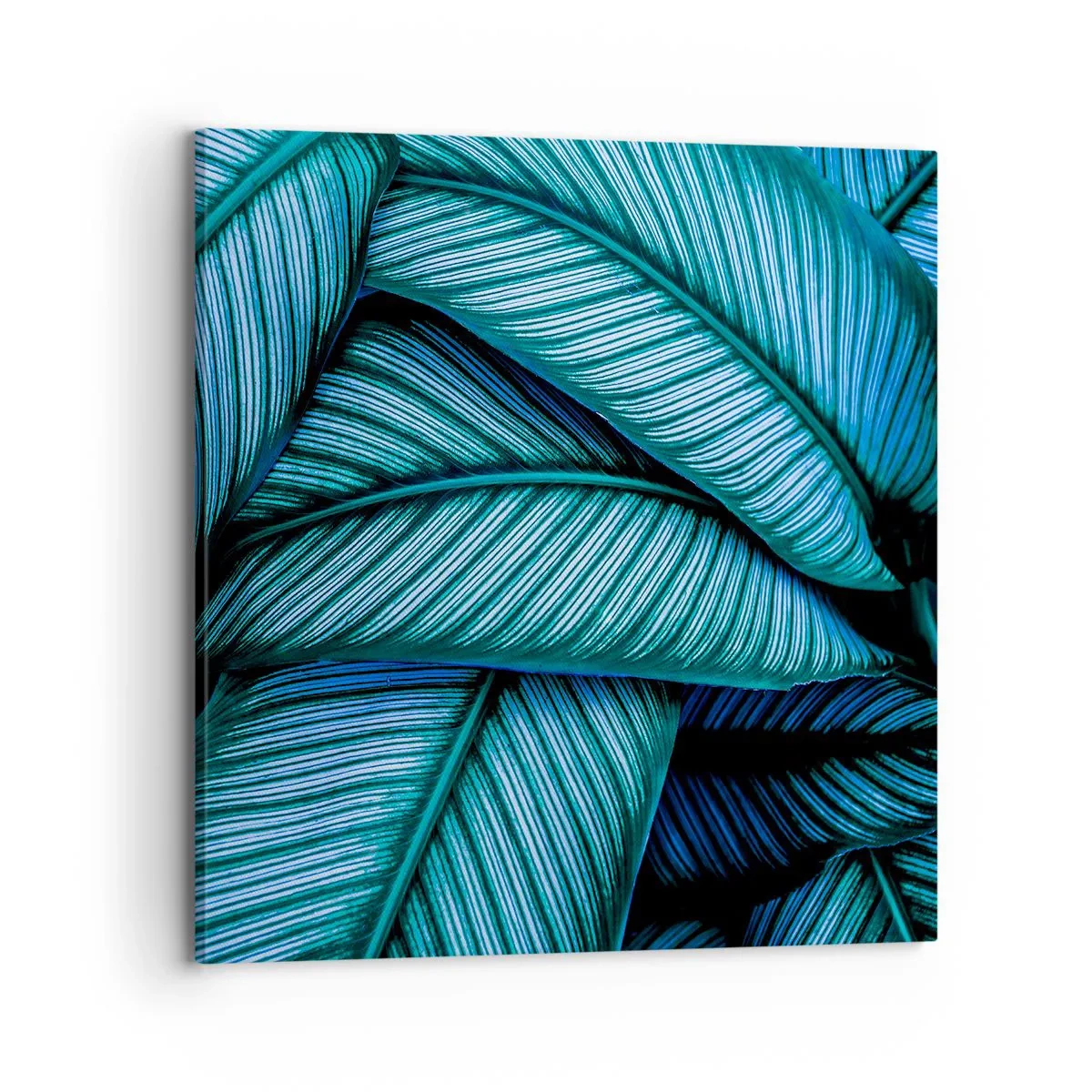 Cuadro sobre lienzo - Impresión de Imagen - Líneas de vida - 70x70 cm