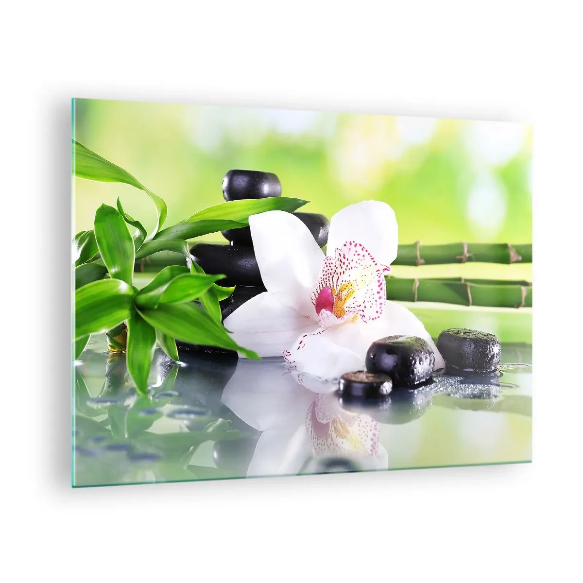 Cuadro sobre vidrio - Impresiones sobre Vidrio - Orquídea, bambú y piedras negras sobre un fondo verde. - 70x50cm - Frescura - Decoración de pared moderna para salón y dormitorio ARTTOR
