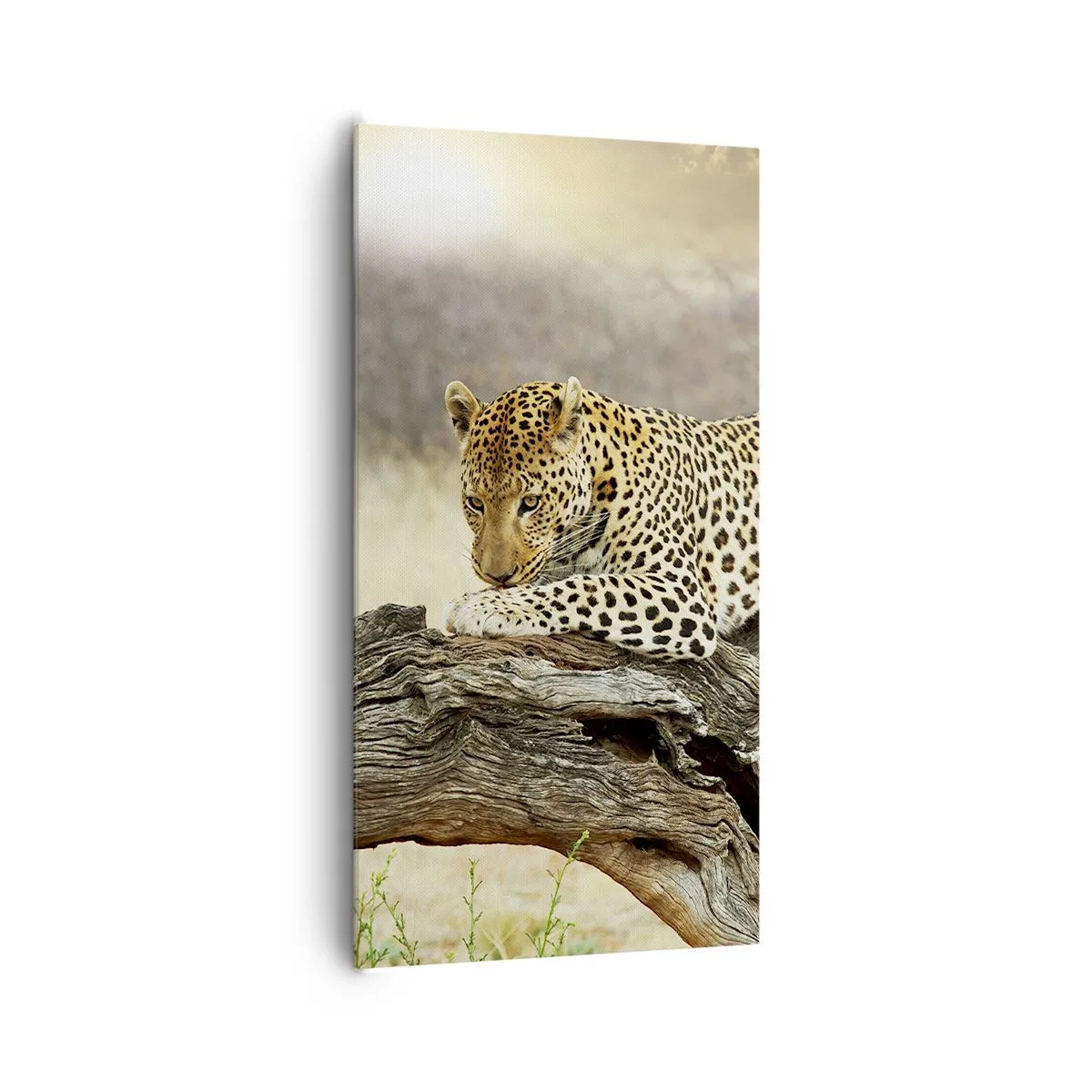 Cuadro sobre lienzo - Impresión de Imagen - Voy por mi cuenta - 65x120 cm