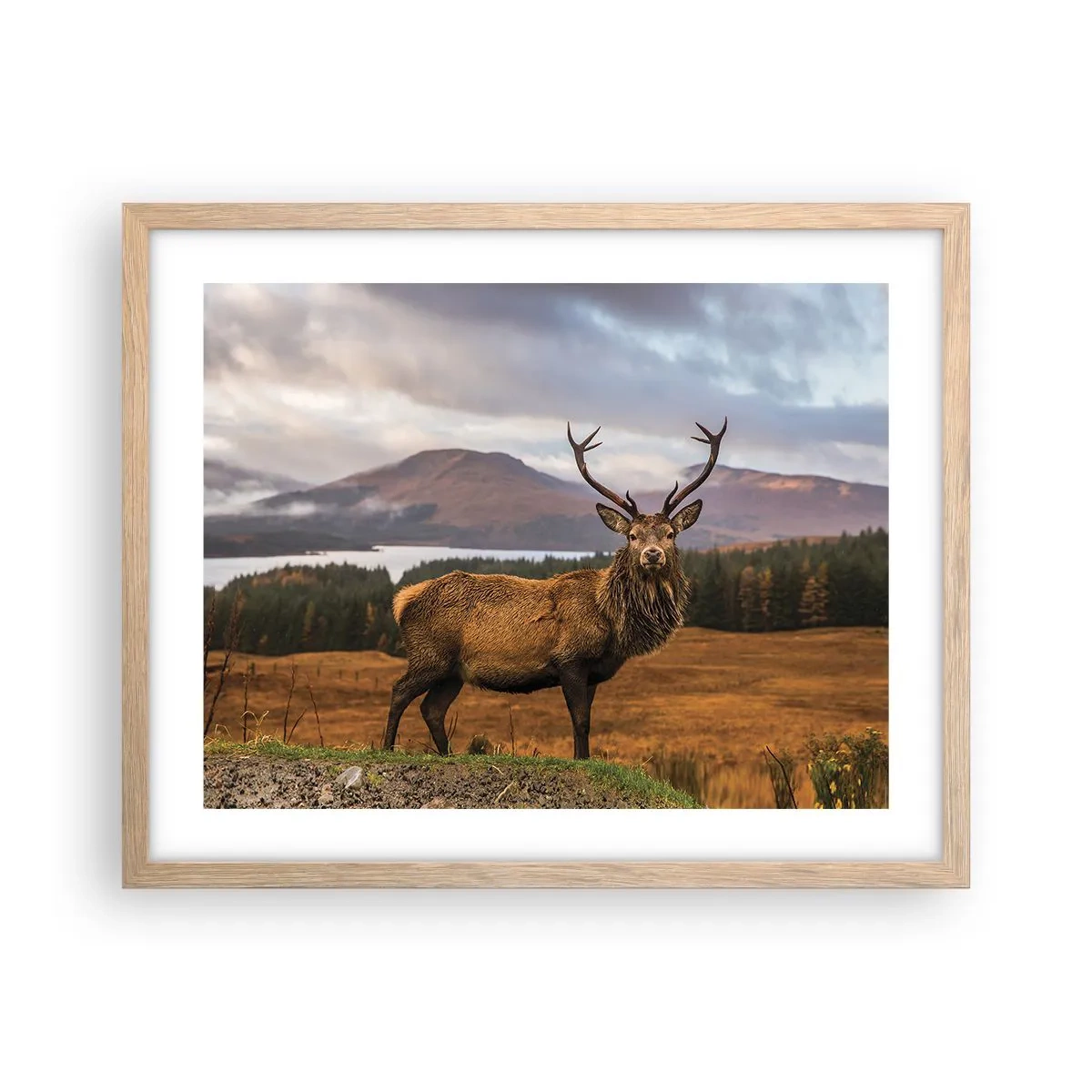 Póster en marco roble claro - La majestuosidad de la naturaleza - 50x40 cm