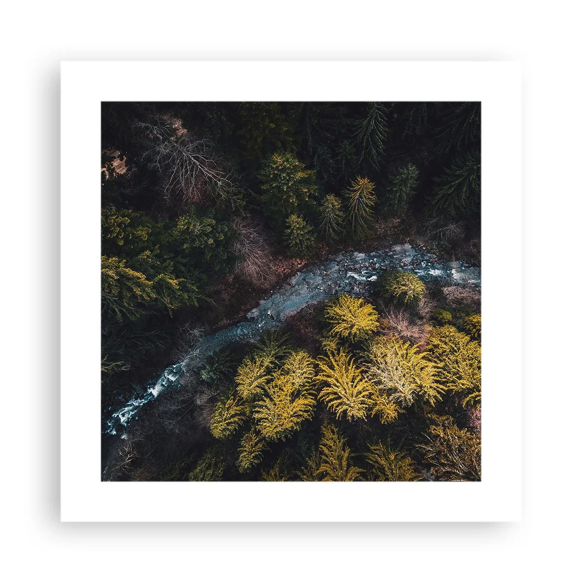 Póster - Rápido, cada vez más rápido - 40x40 cm