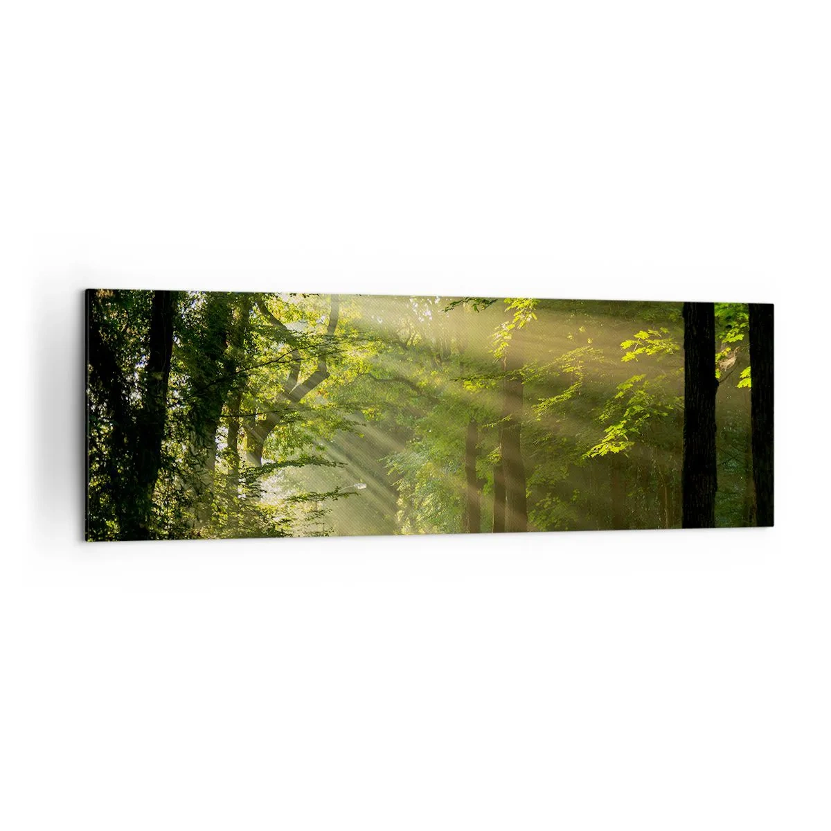 Cuadro sobre lienzo - Impresión de Imagen - Camino forestal con rayos de sol brillando a través de los árboles. - 160x50cm - Un momento en el bosque - Decoración de pared moderna para salón y dormitorio ARTTOR