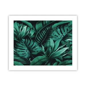 Póster - Profundidad del verde tropical - 50x40 cm