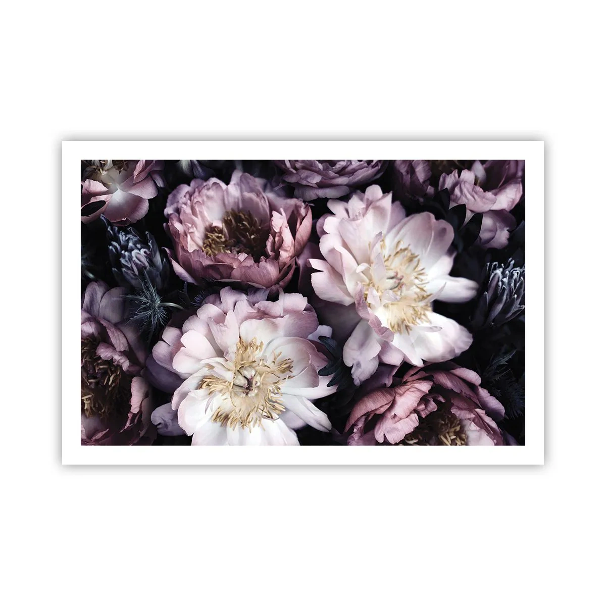 Póster - Un ramo a la antigua usanza - 91x61 cm