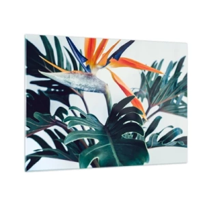 Cuadro sobre vidrio - Impresiones sobre Vidrio - Planta exótica con flor de ave del paraíso. - 70x50cm - La jaula del pájaro colorido - Decoración de pared moderna para salón y dormitorio ARTTOR