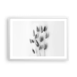 Póster en marco blanco - Esponjas naturales - 70x50 cm