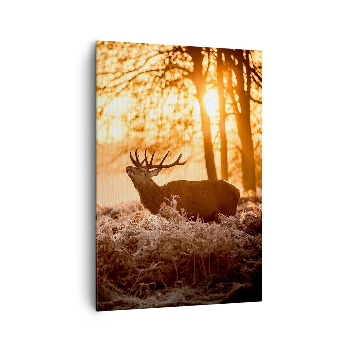 Cuadro sobre lienzo - Impresión de Imagen - Dos ciervos al atardecer en un paisaje invernal. - 70x100cm - El sueño de un cazador - Decoración de pared moderna para salón y dormitorio ARTTOR