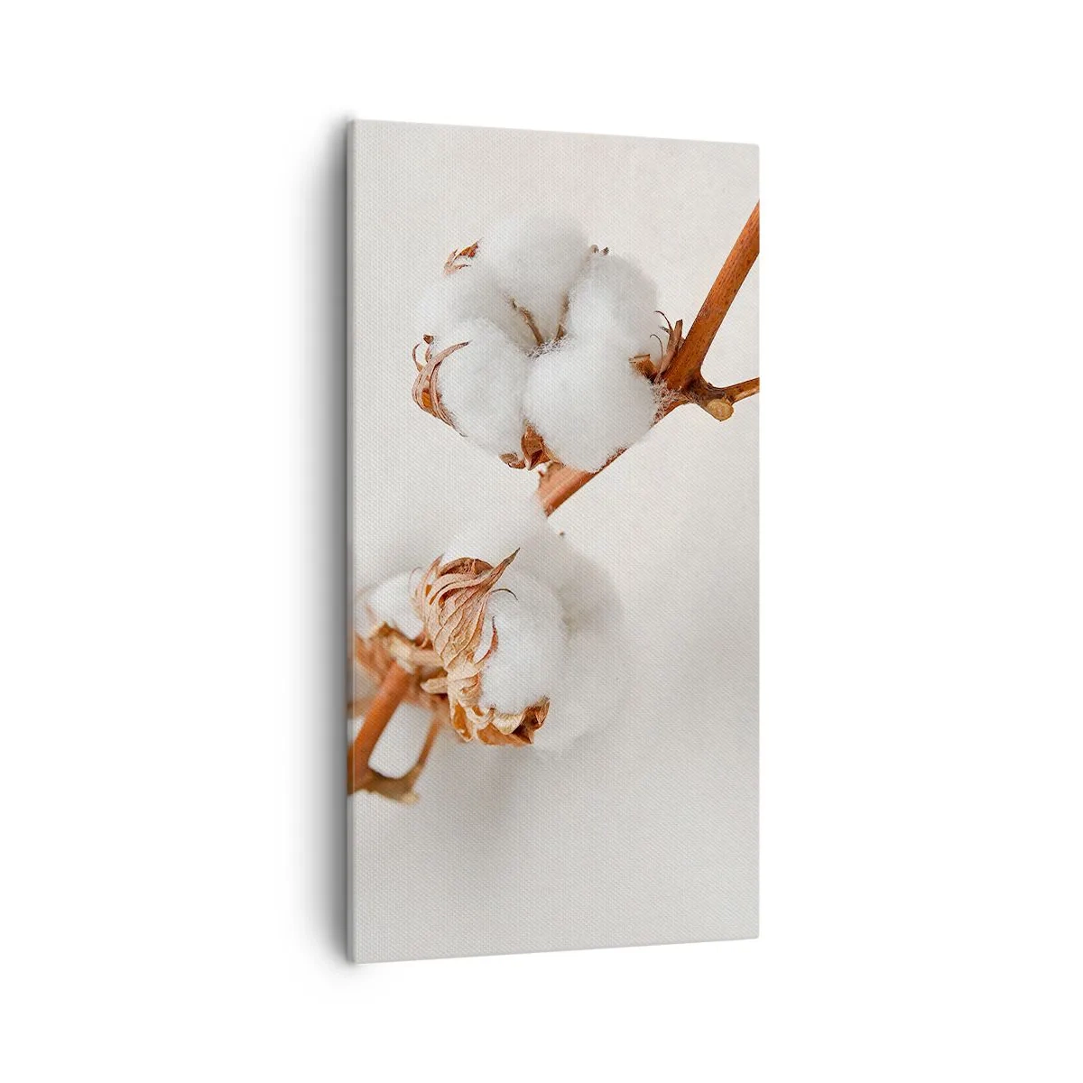 Cuadro sobre lienzo - Impresión de Imagen - Un suave tacto - 55x100 cm