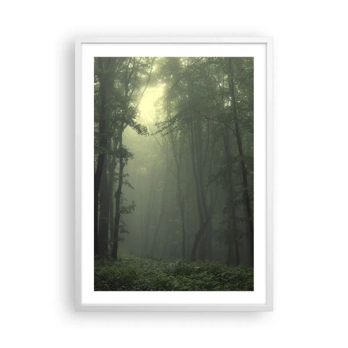 Póster en marco blanco - Antes de que se despierte el bosque - 50x70 cm