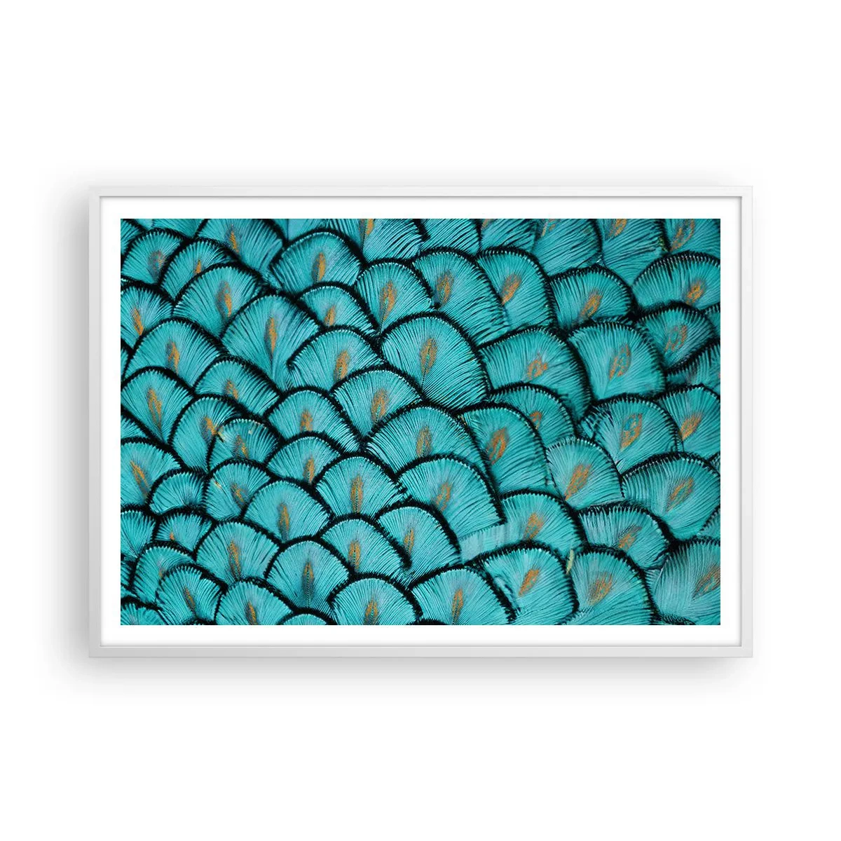 Póster en marco blanco - La gran gala de las plumas - 100x70 cm