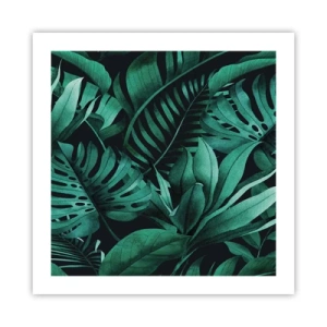 Póster - Profundidad del verde tropical - 50x50 cm