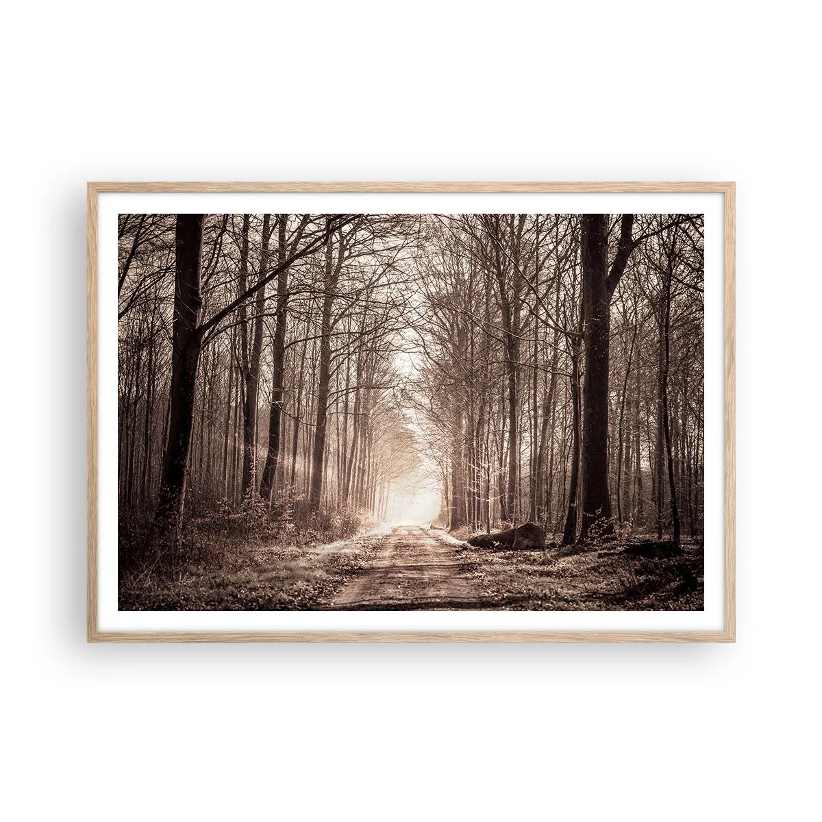 Póster en marco roble claro - La catedral del bosque - 100x70 cm