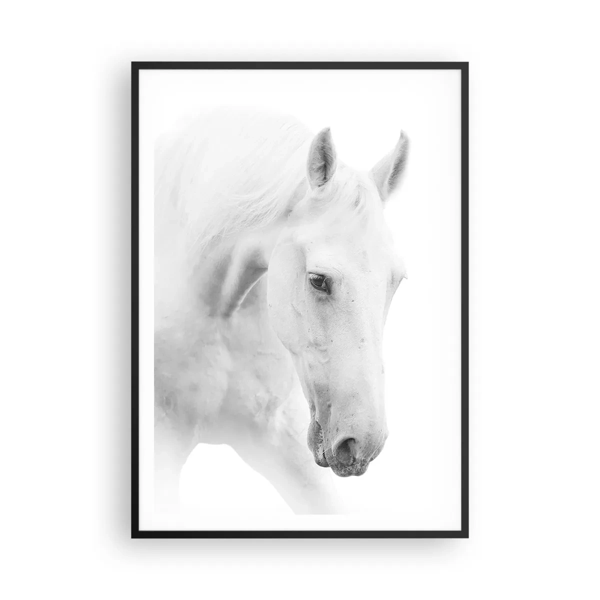 Póster en marco negro - ¿Es esto realmente la amistad...? - 70x100 cm