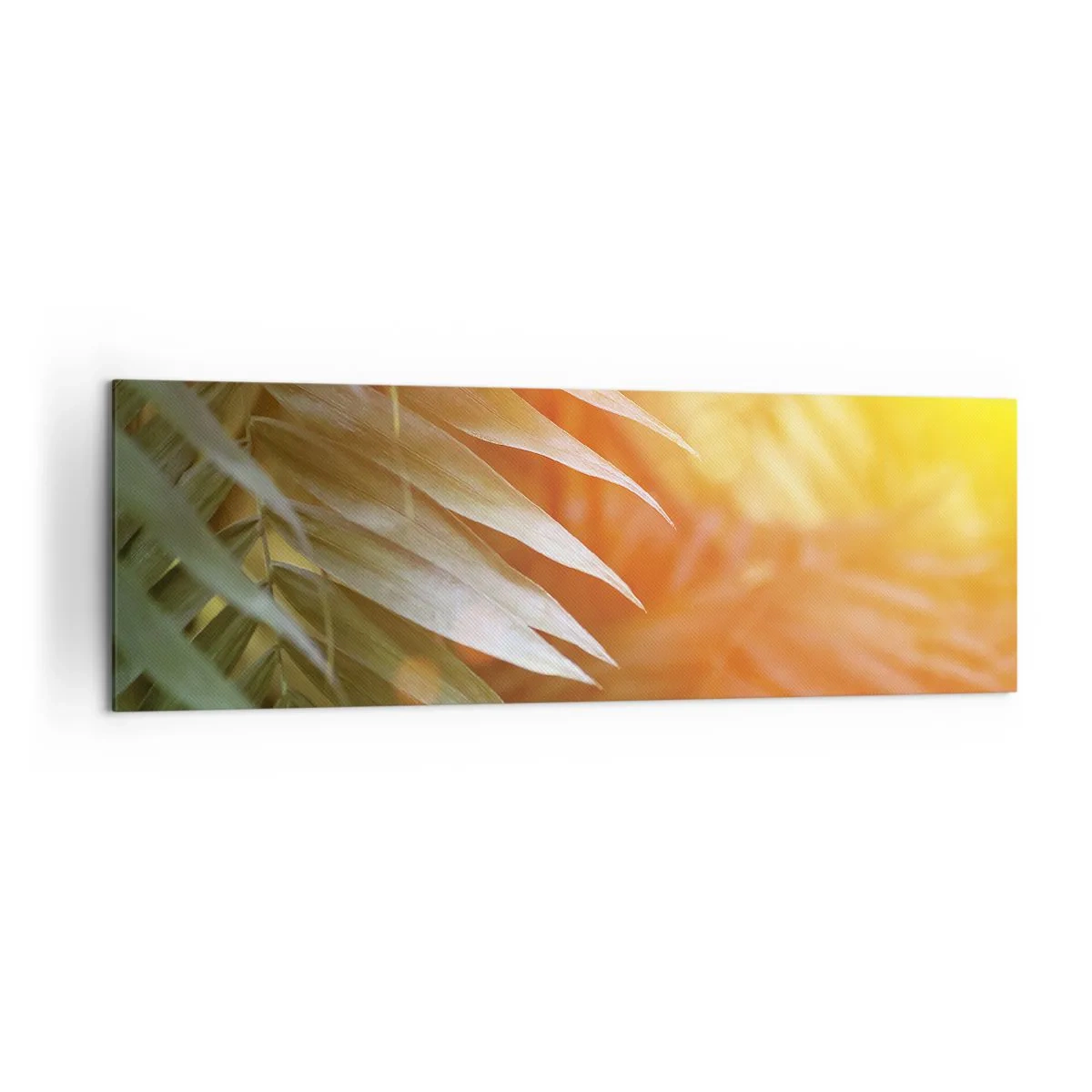 Cuadro sobre lienzo - Impresión de Imagen - Hojas de palma en los rayos del atardecer. - 160x50cm - Mañana en la selva - Decoración de pared moderna para salón y dormitorio ARTTOR