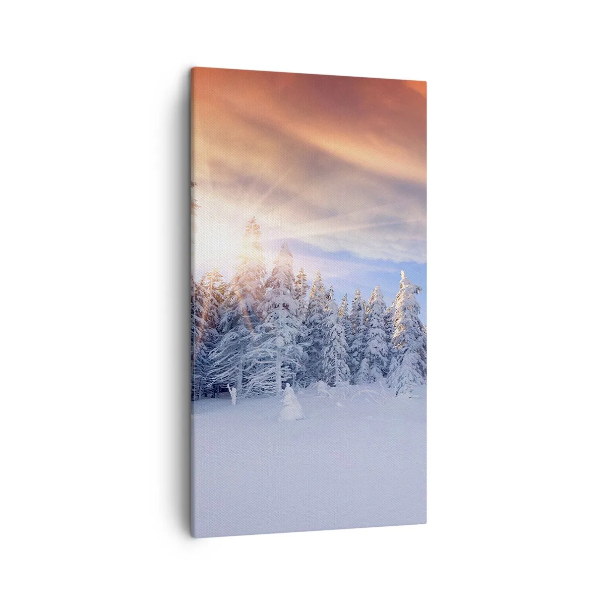Cuadro sobre lienzo - Impresión de Imagen - Un espectáculo de naturaleza nevada - 45x80 cm