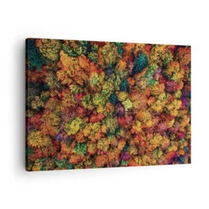 Cuadro sobre lienzo - Impresión de Imagen - Copas de árboles coloridas en la paleta otoñal - 70x50cm - Un ramo de árboles otoñales - Decoración de pared moderna para salón y dormitorio ARTTOR