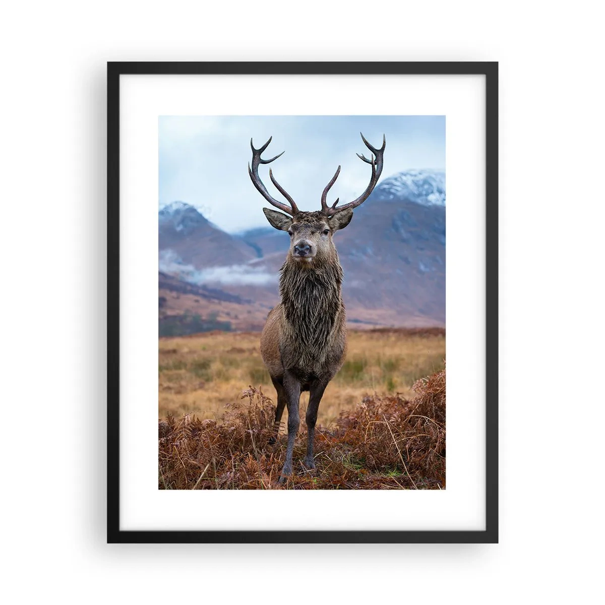 Póster en marco negro - En mi propia tierra - 40x50 cm