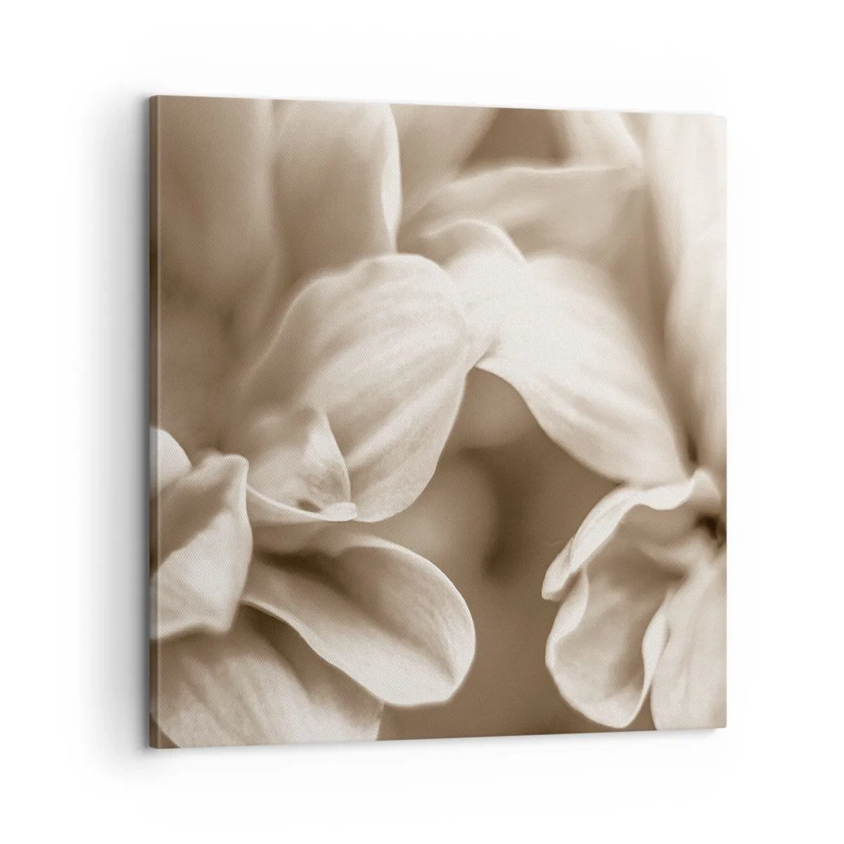 Cuadro sobre lienzo - Impresión de Imagen - Suave como una sonrisa - 60x60 cm