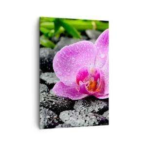 Cuadro sobre lienzo - Impresión de Imagen - Orquídea rosa sobre piedras negras mojadas con hojas verdes - 70x100cm - Como un corazón abierto - Decoración de pared moderna para salón y dormitorio ARTTOR